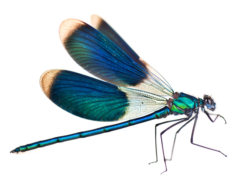 Fotolia 23720525 S