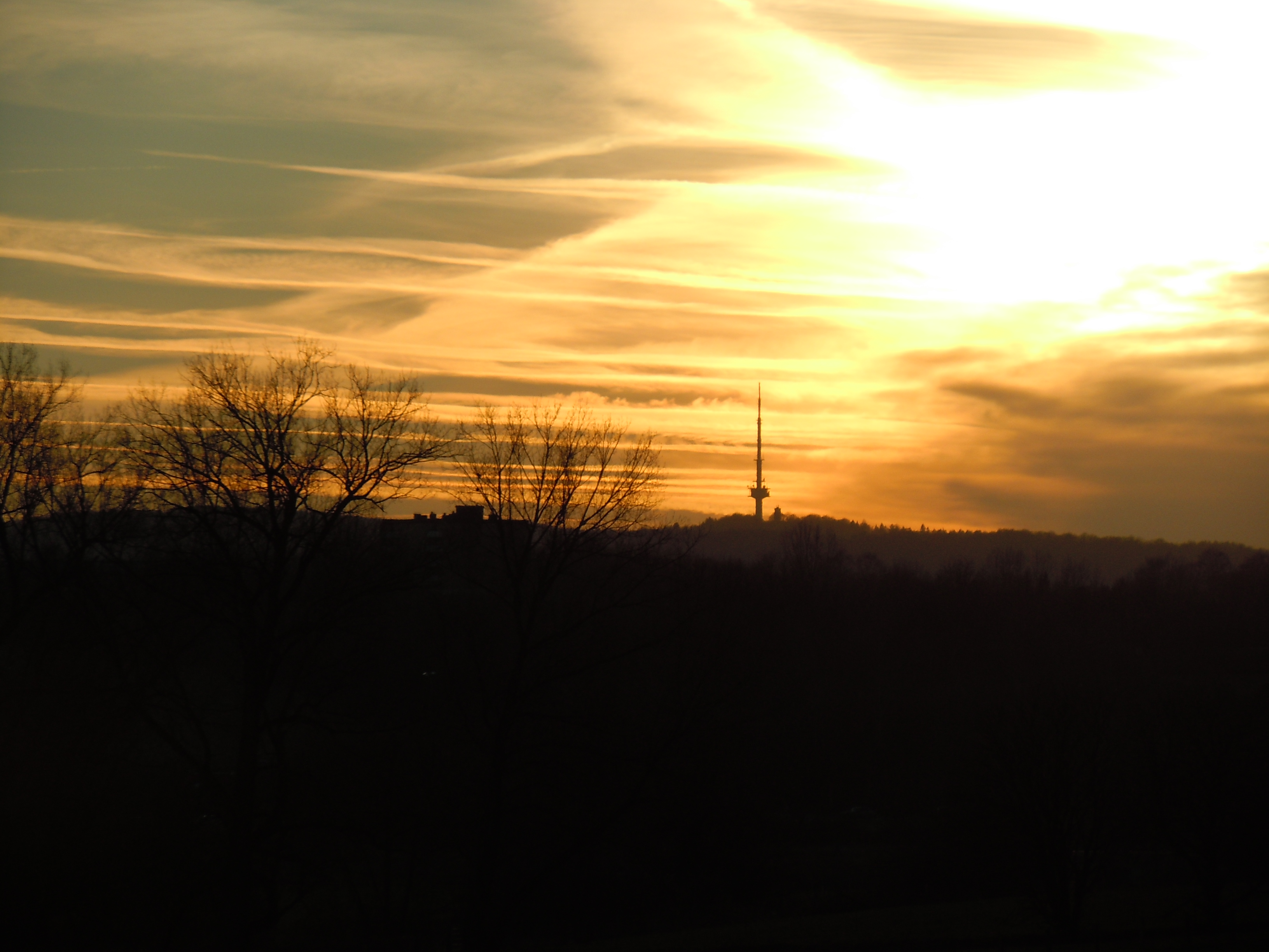 DSCN0324