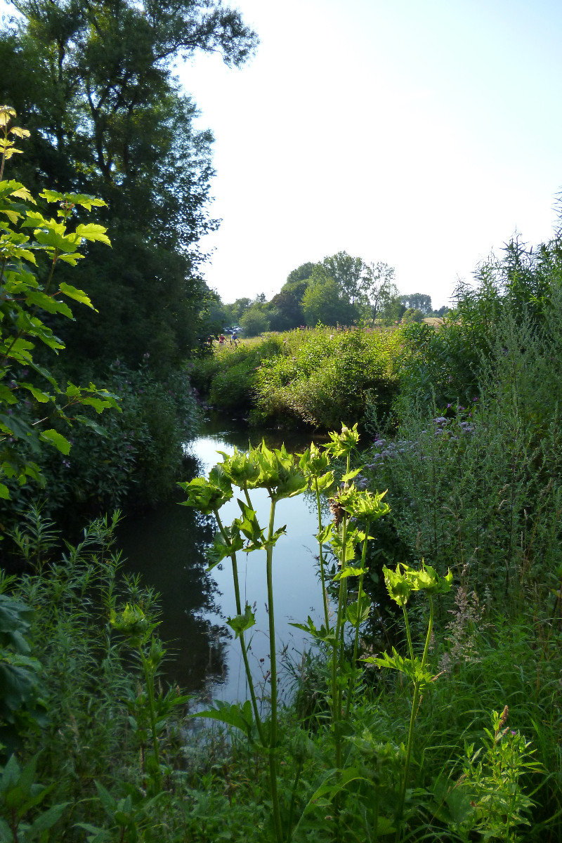 Sommeraktion Johannisbach – Von Strahlursprung zu Strahlursprung