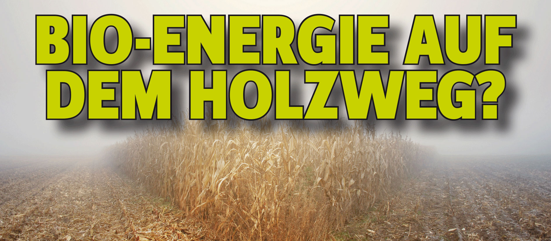 30.10.2012: Podiumsdiskussion mit Bärbel Höhn