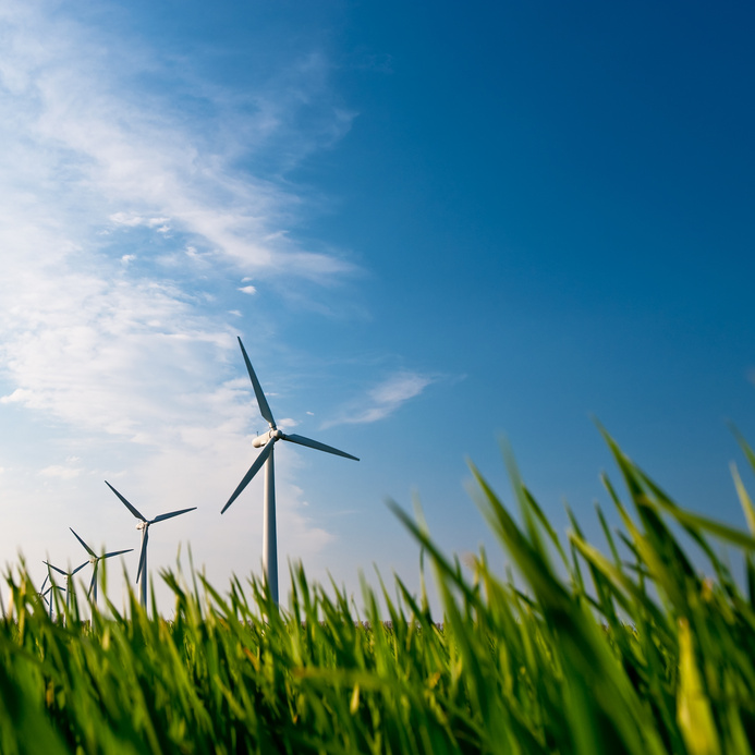 Ausweisung von Konzentrationszonen für Windenergieanlagen im Stadtgebiet: Ein wichtiger Schritt zur Energiewende und zum Klimaschutz