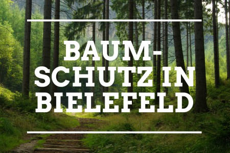 Baumschutz