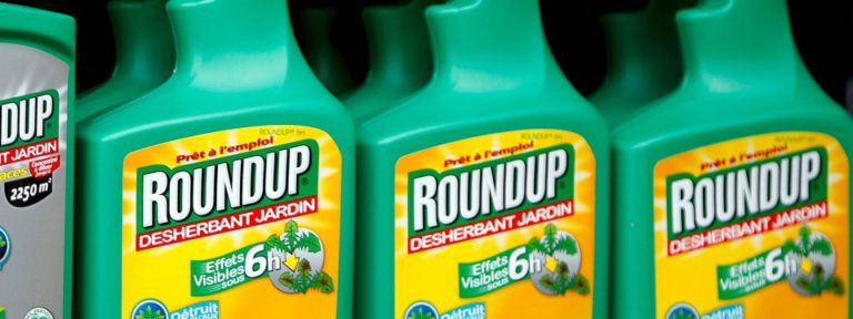 EU gegen Zulassung von Glyphosat:  GRÜNE rufen zu Aktion auf