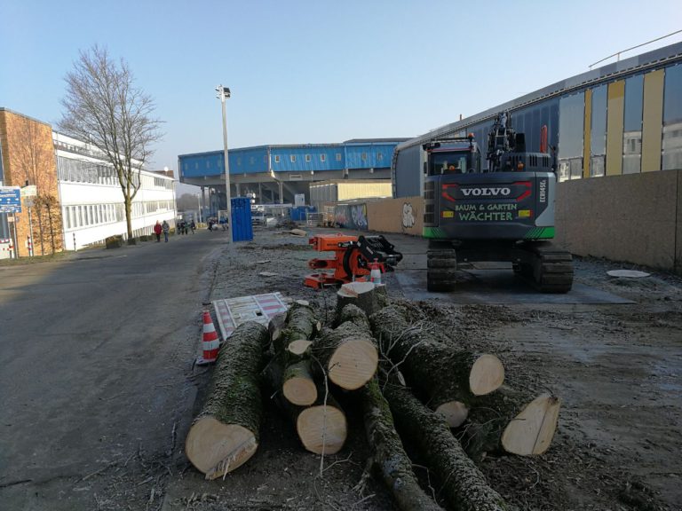 Baudezernent macht erneut Stadtentwicklung mit der Kettensäge