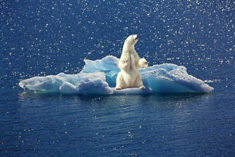 Bielefeld macht Klimaschutz