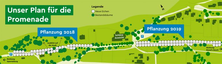 Schlechte Karten für die Bielefelder Eschen
