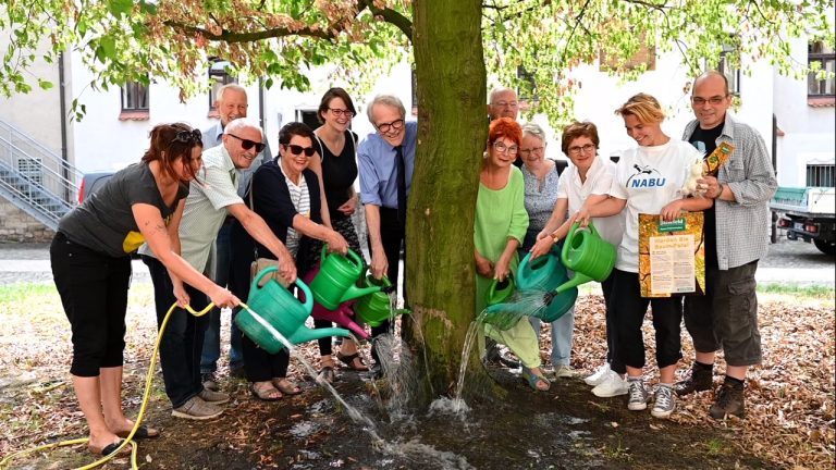 Hitzesommer, Baumdurst löschen!