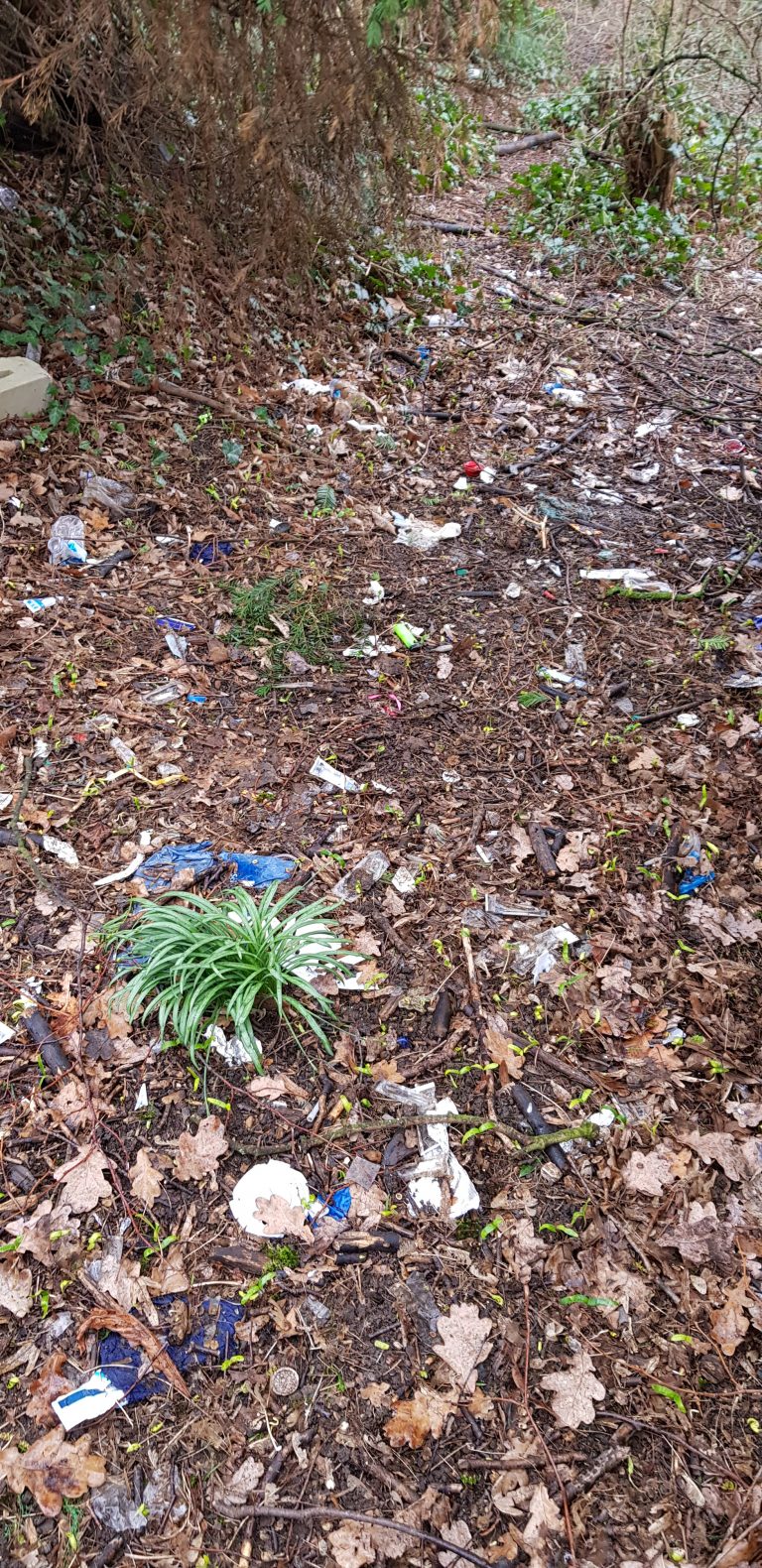 19.10.: Waste Less – Müllsammelaktion