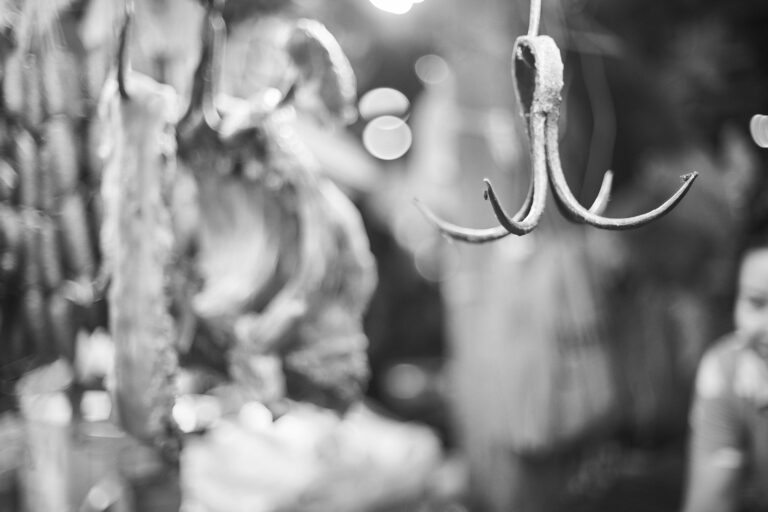 9.7.: Ausbeutung und Leid in Schlachtfabriken – Online-Talk mit Kerstin Haarmann