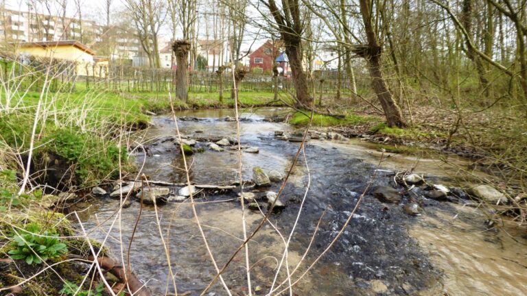 30.8.: Lutterspaziergang mit den GRÜNEN Brackwede