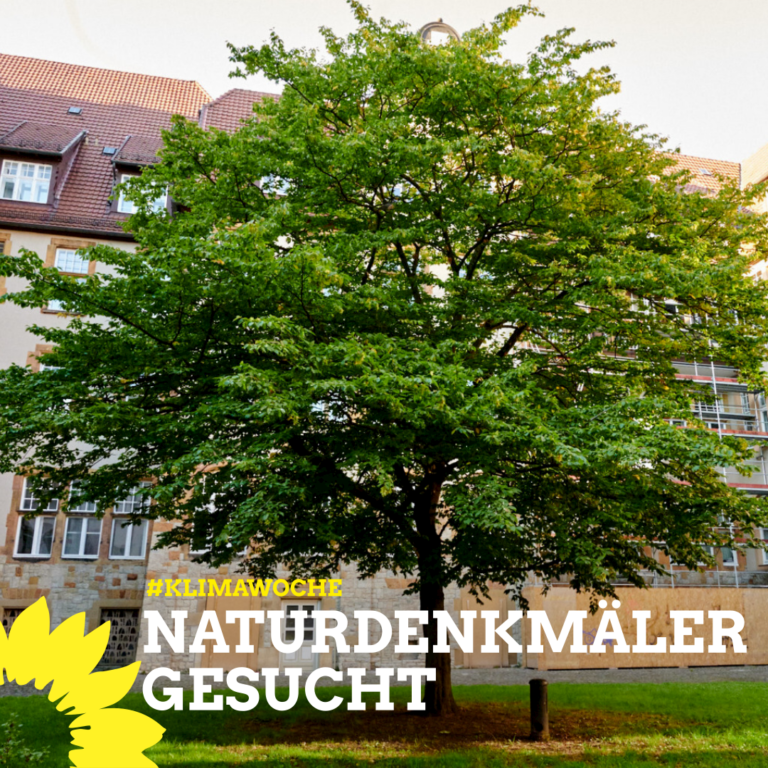 15.3. – 21.3.  Mehr Baumdenkmäler – deine Vorschläge für die Klimawoche