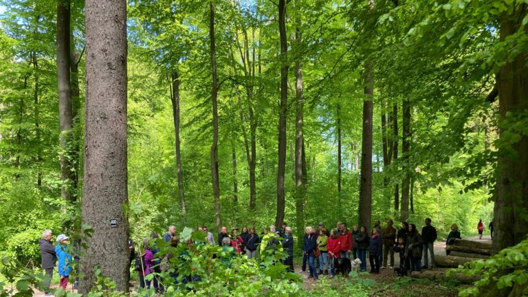 Nachlese Waldwanderung GRÜNE Dornberg