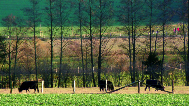 Regionalplan: Grünzüge als Adern der Klimaanpassung erhalten, Badesee beerdigen