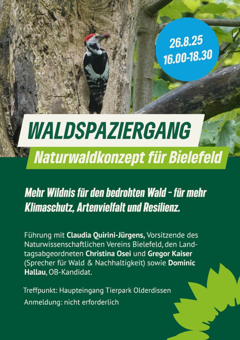 26.08.: Waldspaziergang