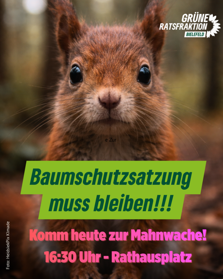 Bielefelder Baumschutzsatzung muss bleiben!