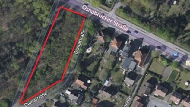 Rodung eines Waldstücks ohne Genehmigung an der Idunastrasse